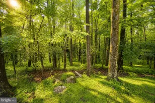 1951 Mosser Rd, Mc Henry, MD 21541 - Photo 8
