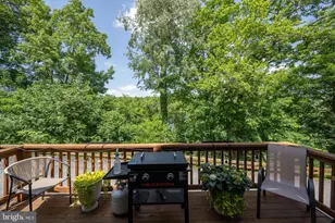 256 Jeffrey Ln, Oakland, MD 21550 - Photo 58