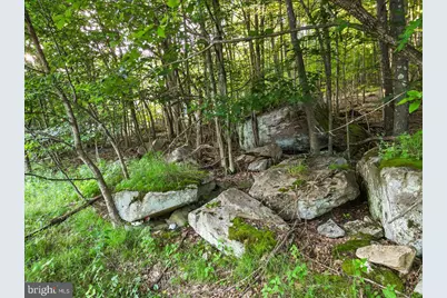 Lot 22 Marsh Hill Road, Mc Henry, MD 21541 - Photo 14