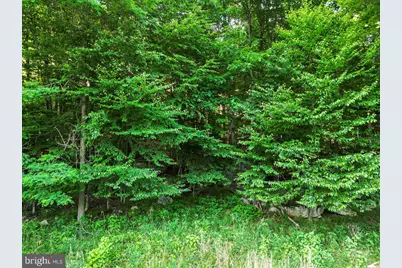 Lot 22 Marsh Hill Road, Mc Henry, MD 21541 - Photo 10