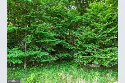Lot 22 Marsh Hill Road, Mc Henry, MD 21541 - Photo 12