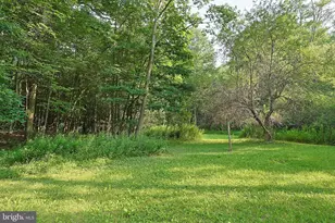 5154 Maryland Hwy, Oakland, MD 21550 - Photo 12