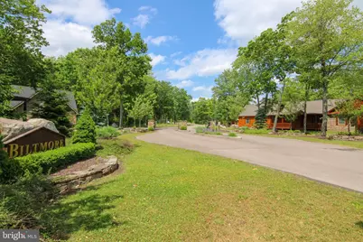 Lot 50 Biltmore Ridge Trail, Mc Henry, MD 21541 - Photo 12