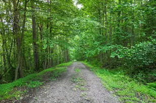 611 Timber Trail, Mc Henry, MD 21541 - Photo 10