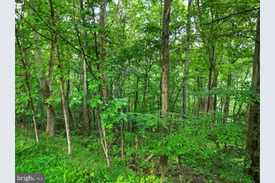 611 Timber Trail, Mc Henry, MD 21541 - Photo 28