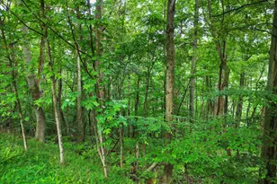 611 Timber Trail, Mc Henry, MD 21541 - Photo 28