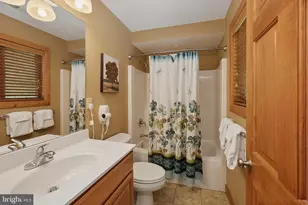 250 Lake Pointe Dr, Mc Henry, MD 21541 - Photo 62