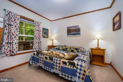 37 Skippers Point Road, Oakland, MD 21550 - Photo 26