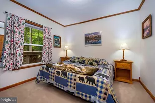 37 Skippers Point Rd, Oakland, MD 21550 - Photo 26