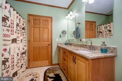 37 Skippers Point Road, Oakland, MD 21550 - Photo 34