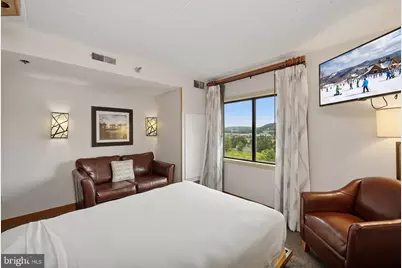 290 Marsh Hill Road #706, Mc Henry, MD 21541 - Photo 16