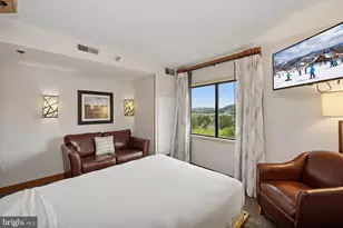 290 Marsh Hill Rd, Mc Henry, MD 21541 - Photo 16