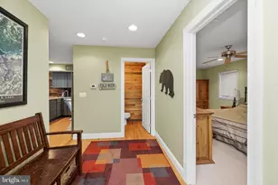 86 Shingle Camp Terrace, Mc Henry, MD 21541 - Photo 32