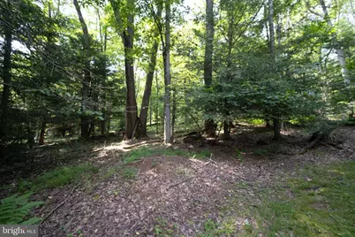 639 Hemlock Road, Grantsville, MD 21536 - Photo 48