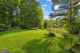 22 Shady Hill Dr, Oakland, MD 21550 - Photo 46