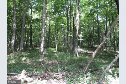 Bethlehem Rd, Oakland, MD 21550 - Photo 6
