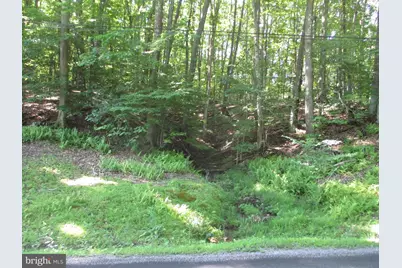 Bethlehem Rd, Oakland, MD 21550 - Photo 2