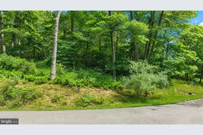 73 Westward Way, Mc Henry, MD 21541 - Photo 12
