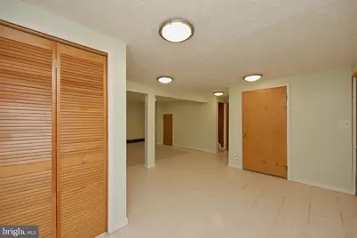 520 Palmer Lane, Oakland, MD 21550 - Photo 68