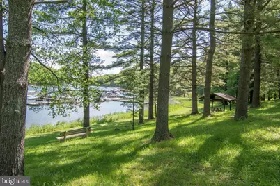 527 Deer Run Lane, Swanton, MD 21561 - Photo 74