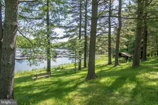 527 Deer Run Ln, Swanton, MD 21561 - Photo 74