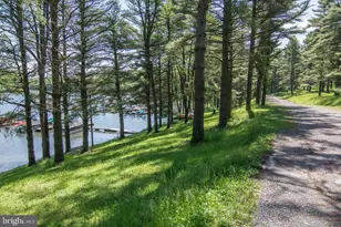 527 Deer Run Ln, Swanton, MD 21561 - Photo 66