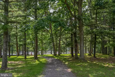 527 Deer Run Lane, Swanton, MD 21561 - Photo 124