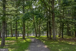 527 Deer Run Ln, Swanton, MD 21561 - Photo 124