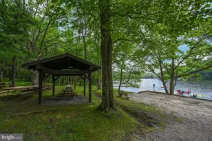 527 Deer Run Ln, Swanton, MD 21561 - Photo 90