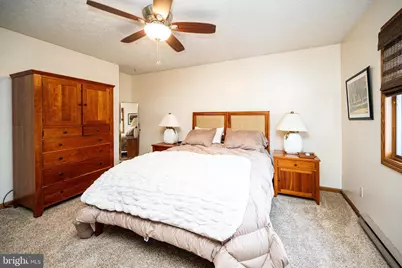 255 Thornberry Road, Oakland, MD 21550 - Photo 84