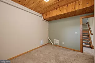 273 Daylily Ln, Swanton, MD 21561 - Photo 52