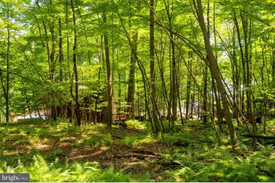 2153 Rock Lodge Road, Mc Henry, MD 21541 - Photo 76