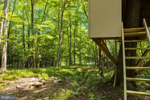 2153 Rock Lodge Rd, Mc Henry, MD 21541 - Photo 74