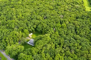 718 Boy Scout Crosscut Rd, Oakland, MD 21550 - Photo 48