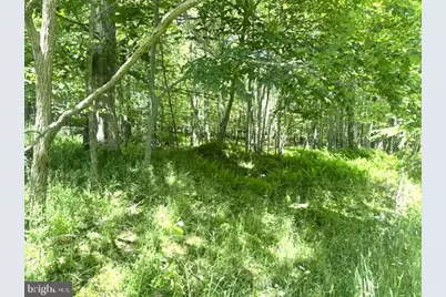 Lot 81 Sundance Way, Mc Henry, MD 21541 - Photo 8