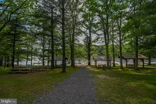 106 Lodge Cir, Swanton, MD 21561 - Photo 98