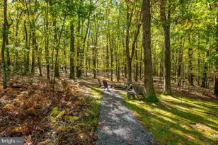106 Lodge Cir, Swanton, MD 21561 - Photo 64