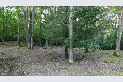 Lot 8 Stool Rock Road, Oakland, MD 21550 - Photo 6