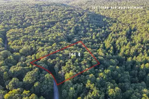 Lot 8 Stool Rock Rd, Oakland, MD 21550 - Photo 1