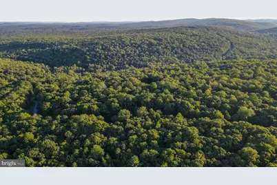 Lot 8 Stool Rock Road, Oakland, MD 21550 - Photo 14