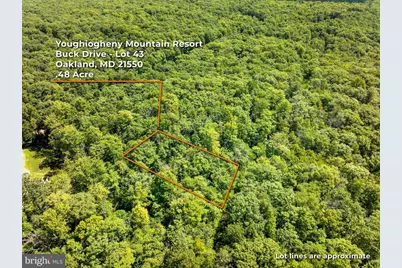 Grey Squirrel Road, Oakland, MD 21550 - Photo 1