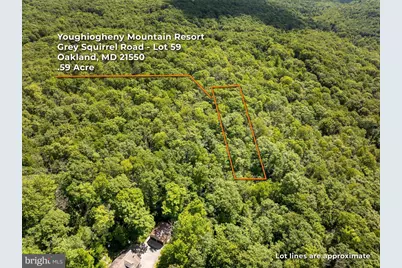 Grey Squirrel Road, Oakland, MD 21550 - Photo 4