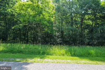 80 Sundance Way, Mc Henry, MD 21541 - Photo 4