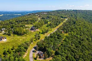 337 Fork Run Trail, Mc Henry, MD 21541 - Photo 78