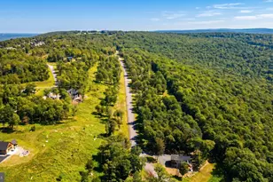 337 Fork Run Trail, Mc Henry, MD 21541 - Photo 82