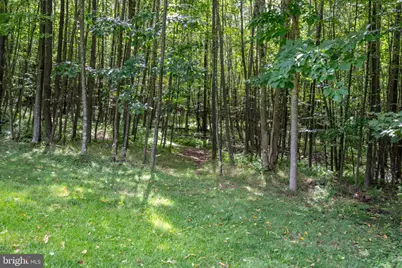 137 Youngwood Lane, Grantsville, MD 21536 - Photo 74