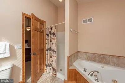 395 Woodlands Hill Lane, Oakland, MD 21550 - Photo 32