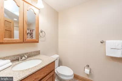 395 Woodlands Hill Lane, Oakland, MD 21550 - Photo 50