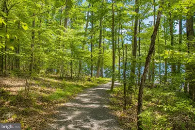 Lot 100 Deep Creek Highlands Road, Mc Henry, MD 21541 - Photo 26