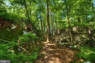 Lot 100 Deep Creek Highlands Road, Mc Henry, MD 21541 - Photo 38